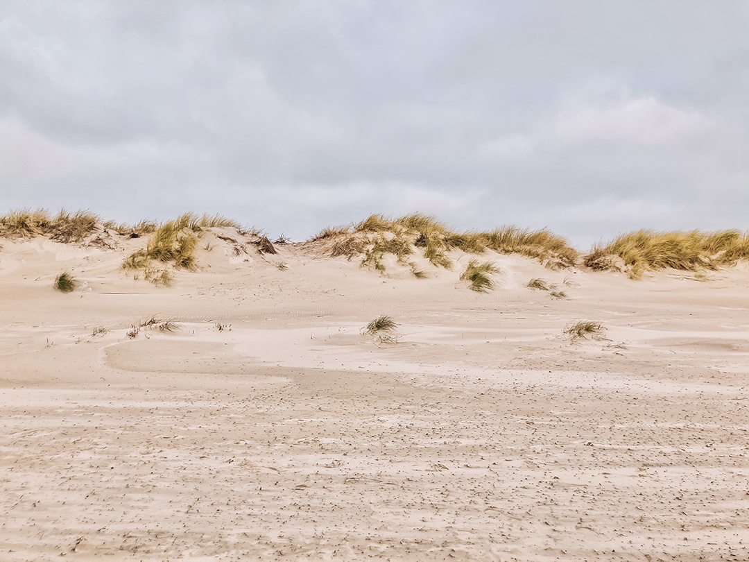 Raziskovanje_Juzne_Svedske_-_Exploring_Southern_Sweden_8.jpg