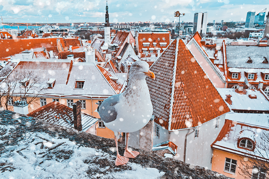 01_Evropska_Mesta_Pozimi_-_European_Cities_In_Winter_-_ENVATO.jpg
