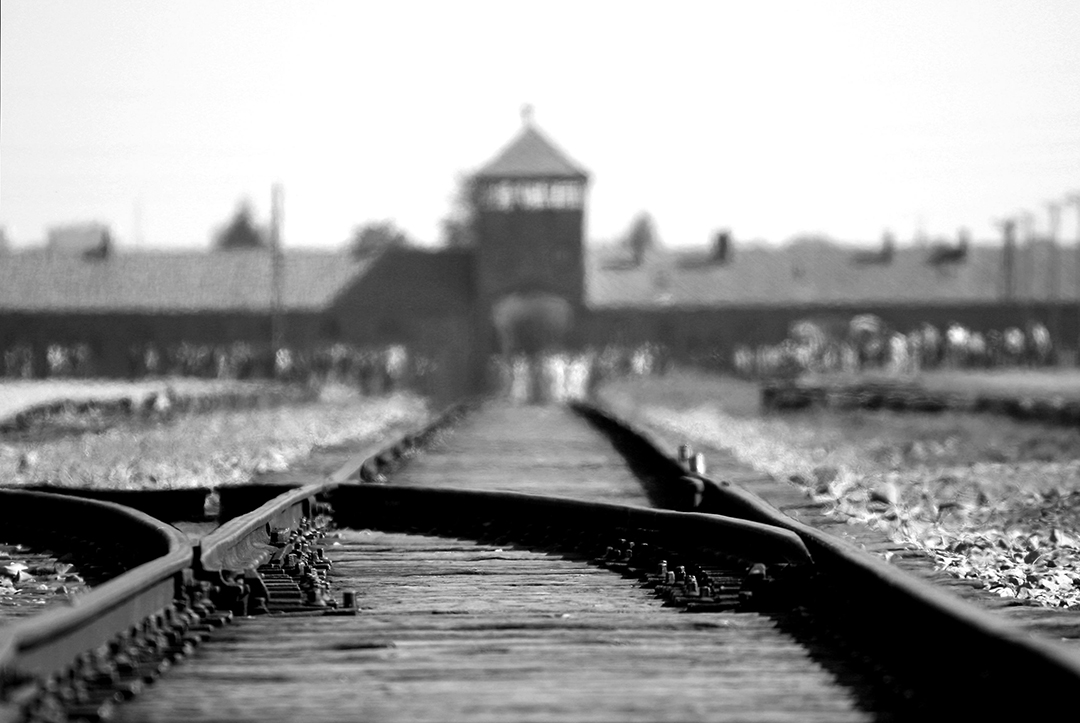 The railway tracks leading into Auschwitz-Birkenau, a powerful reminder of history and the importance of remembrance.