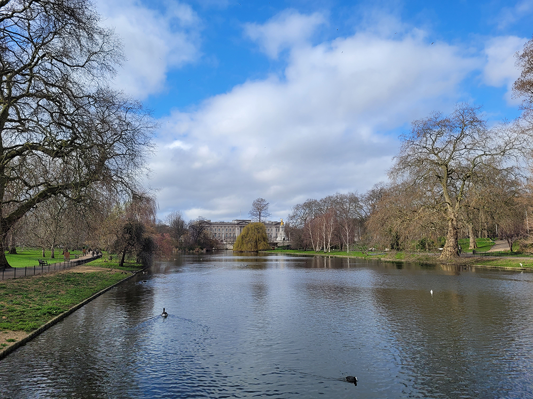 A peaceful view of St James’s Park with its lake and Buckingham Palace in the distance, a green oasis in central London.
