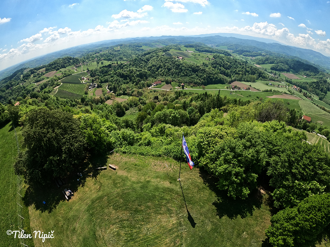 A wide panoramic view of the valleys and hills of the Svečina region, covered with vineyards and lush forests.