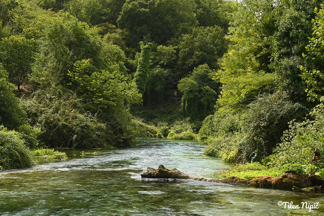 A river surrounded by greenery showing Albania’s unspoiled nature.